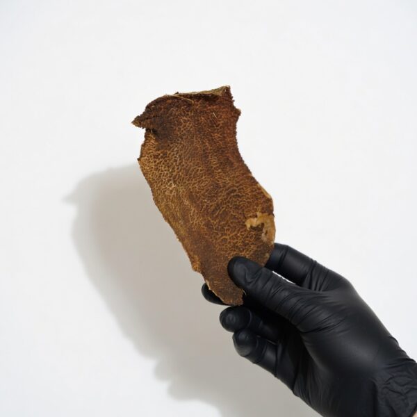 Tripa de Oaie Delicios snack natural: Stomacul de oaie deshidratat (tripa) este ideal pentru a răsfăța câinii în timpul antrenamentelor sau plimbărilor.100% natural, fără aditivi, doar ingrediente pure și sănătoase.Bogată în nutrienți: Aport ridicat de fosfor, calciu și enzime benefice pentru digestie.Miros specific: Atrage câinii și le stimulează instinctele naturale.&nbsp;