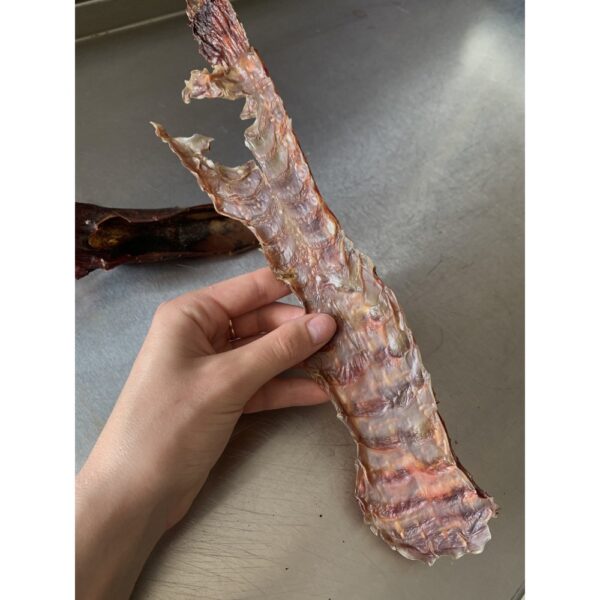 Жевательные полоски из лошади ✔️ Хрустящая полоска красного мяска✔️Богат коллагеном – поддерживает здоровье суставов и кожи собаки.✔️ Никаких консервантов, медленное обезвоживание для сохранения настоящего вкуса.? Гладкая текстура – ​​помогает очистить зубы и уменьшить зубной камень – для самых маленьких.