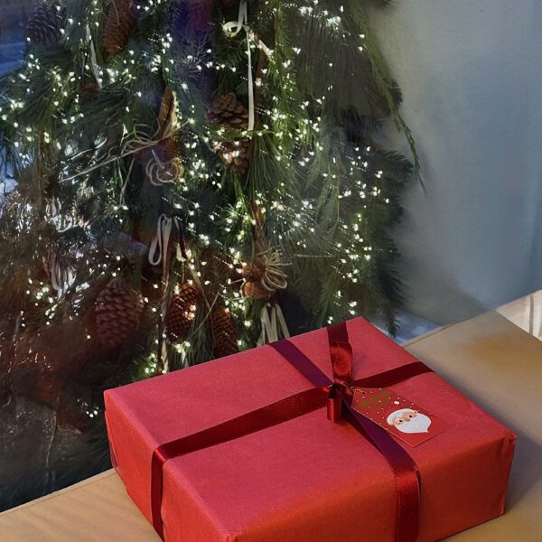 Chewy Christmas Box